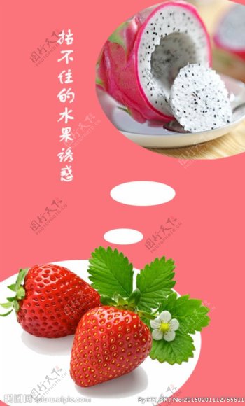 草莓火龙果图片
