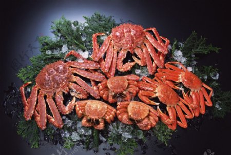 螃蟹美食中餐图片