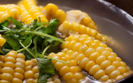 仔排玉米蒸馏汤图片