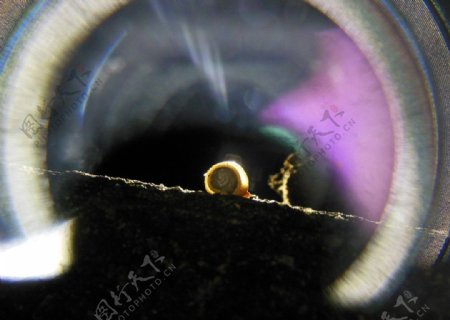 彩光环绕的小蜗牛图片