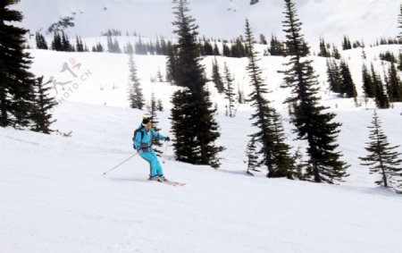 加拿大惠斯勒滑雪图片