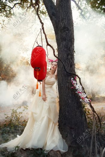 美女白色婚莎写真户外森林清晨图片