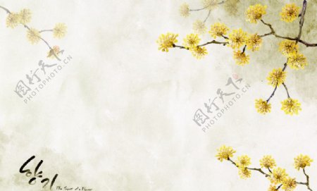 韩国小翠花素材图片