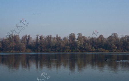 多瑙河森林图片