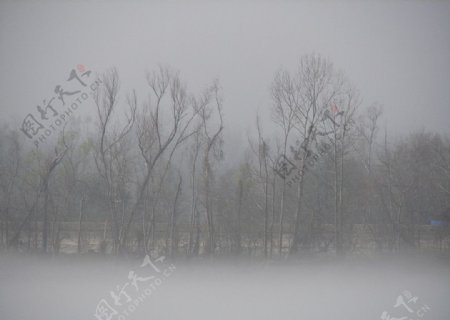 薄雾密西西比河风光图片
