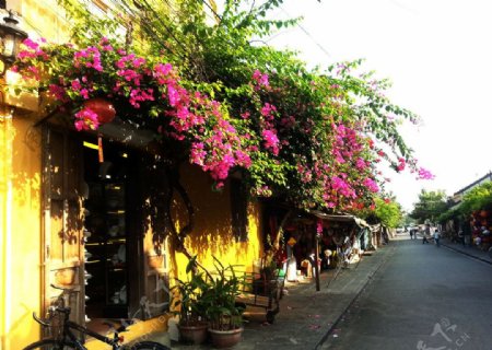 越南岘港会安古镇街景图片