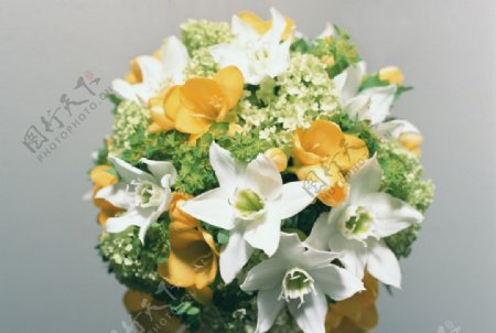 百合鲜花装饰图片