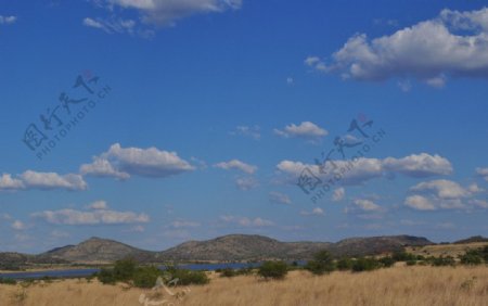 南非草原图片
