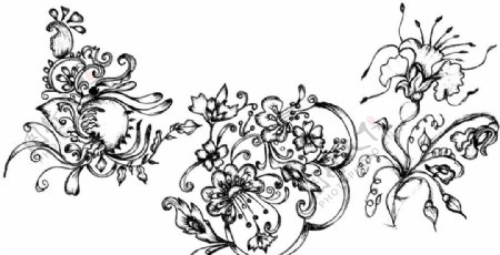 手绘古典花纹图片