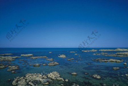 马尔代夫珊瑚礁图片