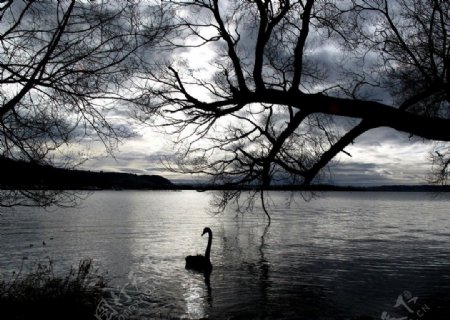 湖畔黄昏图片