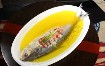 金汤鲥鱼图片