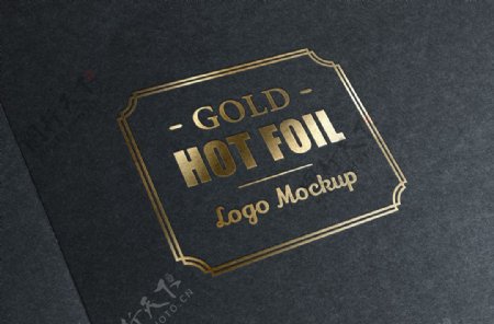 烫金logo图片