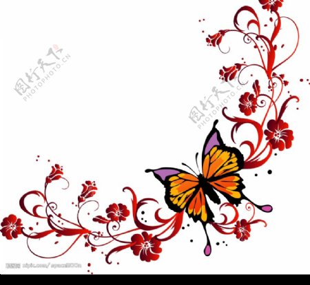 蝴蝶与花纹图片