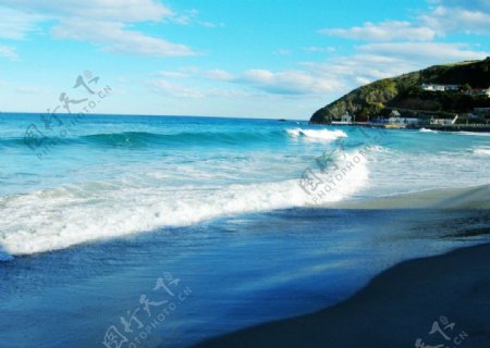 新西兰达尼丁STClair海滩图片