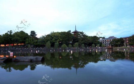 日本猿泽池图片