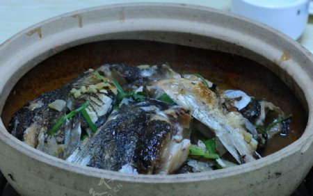 砂锅鱼头煲图片
