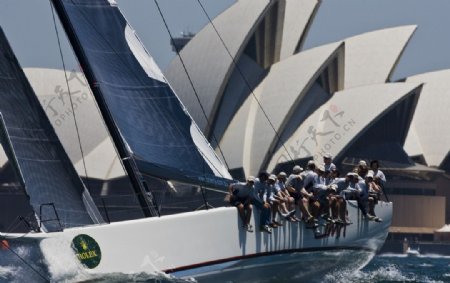 悉尼歌剧院门口帆船赛照片图片