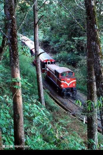 台灣嘉義縣阿里山森林火車图片