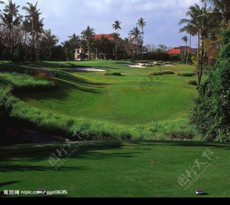 酒店高尔夫球场图片