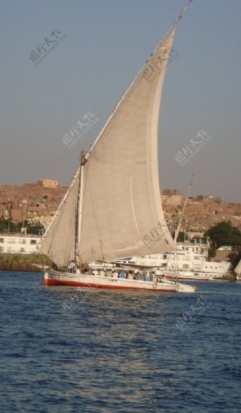 埃及帆船图片
