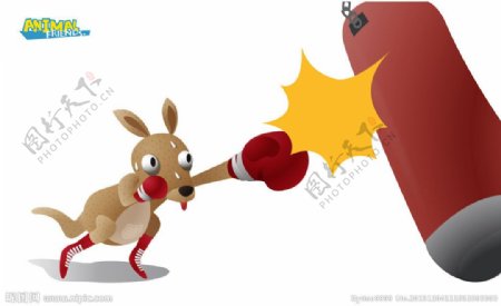 卡通袋鼠练拳击图片