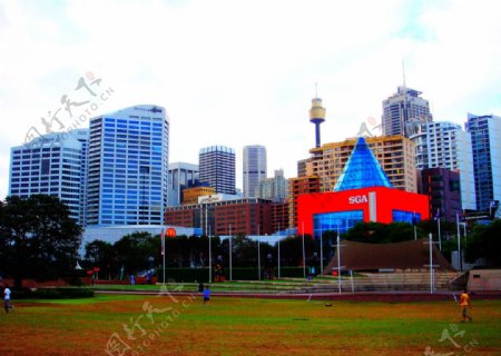 悉尼中央公园旁的楼群图片