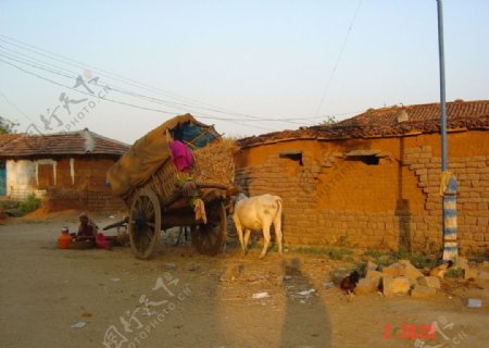 印度的一个小村庄图片