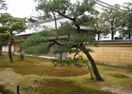 日本庭院图片