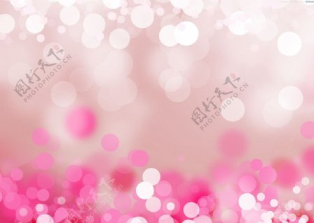 粉红光圈图片