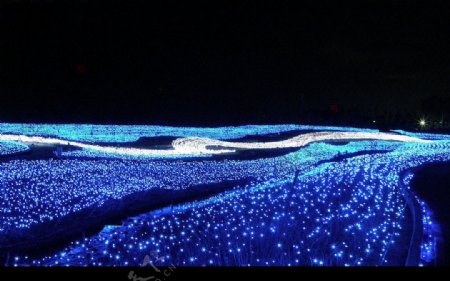 三重桑名夜景图片