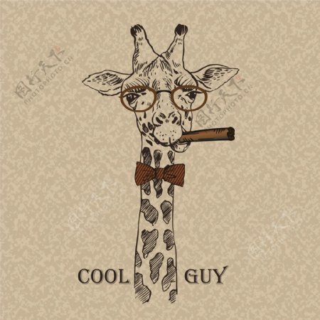 吸烟的长颈鹿图片