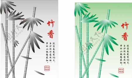 竹香图片