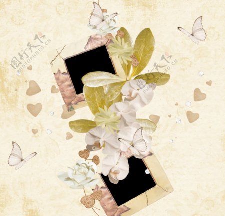 花朵蝴蝶相框相片背景设计图片