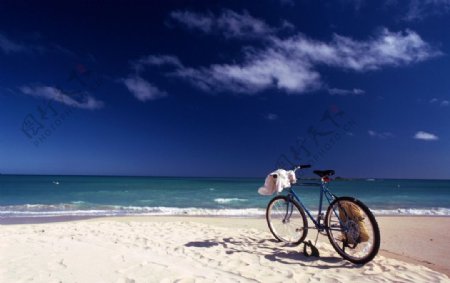 沙滩自行车图片