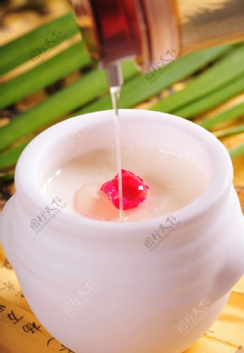 自制酸奶酸奶图片