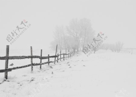 大雪中的围栏图片