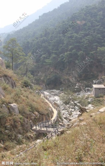 沂蒙风景蒙山蒙山李图片