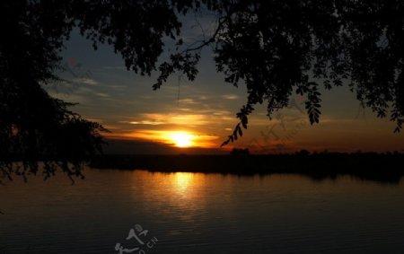 夕阳下的乔贝国家公园图片