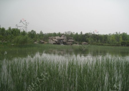 平静池塘图片
