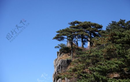 黄山风景图片