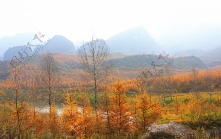 临夏太子山风光图片