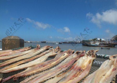 嵊泗中心渔港海滨小景图片