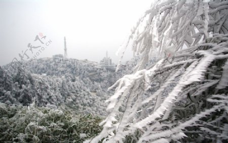 黄山白雪图片