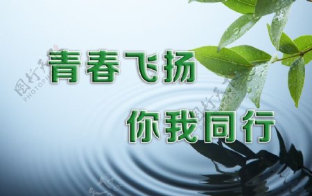 青春飞扬图片