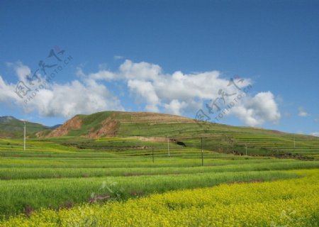 大草原图片