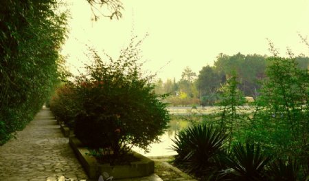 天紫湖风景图片