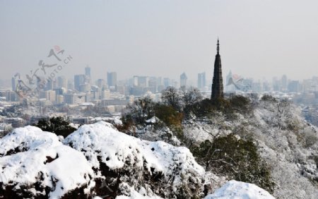 雪中傲立保俶塔图片