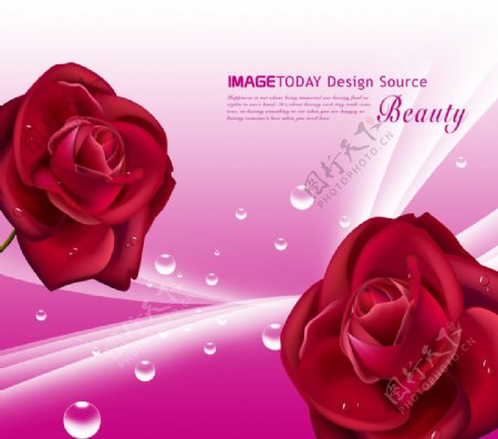 玫瑰泡泡移门图设计图片