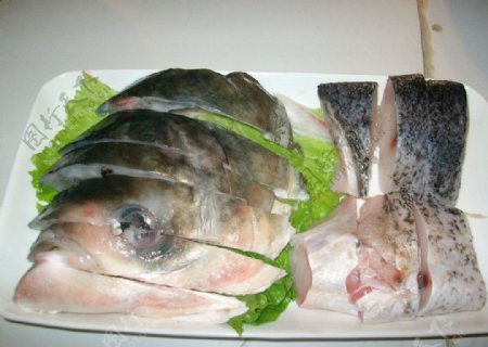 千岛湖鱼头图片